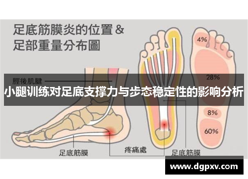小腿训练对足底支撑力与步态稳定性的影响分析
