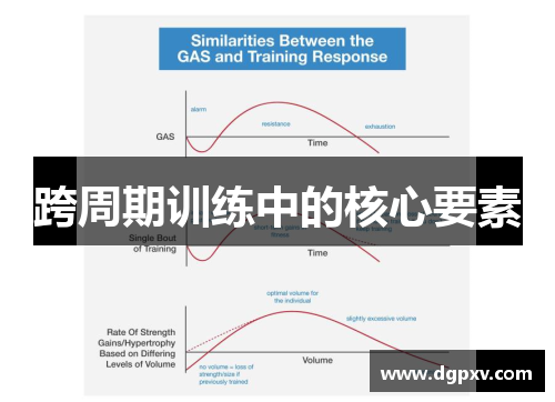 跨周期训练中的核心要素